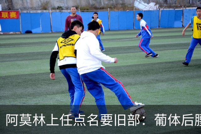 阿莫林上任点名要旧部：葡体后腰卖4500万，曼联放弃之人想转会